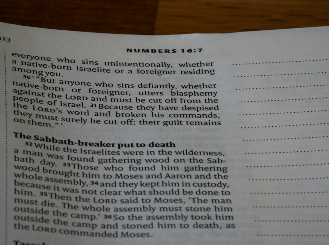 mystery novel pages